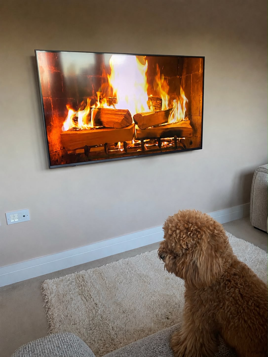 Completed television wall mounting in a West London living room